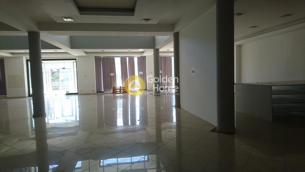 Επιχειρηματικό κτίριο 1.165 τ.μ. πρός ενοικίαση, Ν. Λάρισας, Αντιχασιά