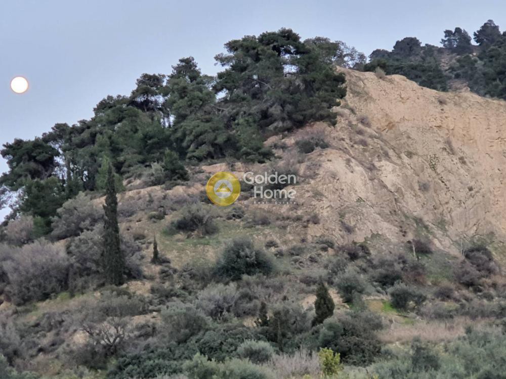 Αγροτεμάχια 4.790 τ.μ. προς πώληση, Στόμιο Ευρωστίνης