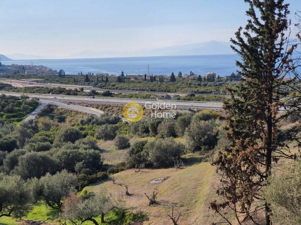Αγροτεμάχια 4.790 τ.μ. προς πώληση, Στόμιο Ευρωστίνης