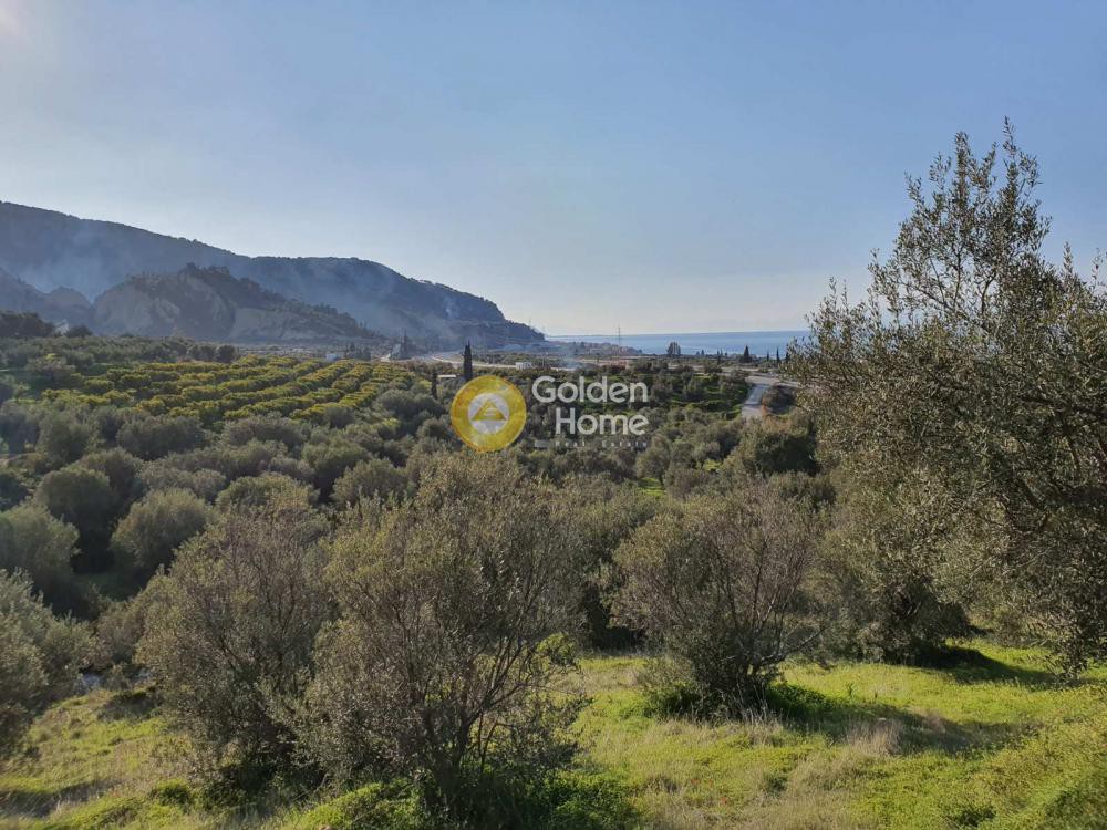 Αγροτεμάχια 4.790 τ.μ. προς πώληση, Στόμιο Ευρωστίνης
