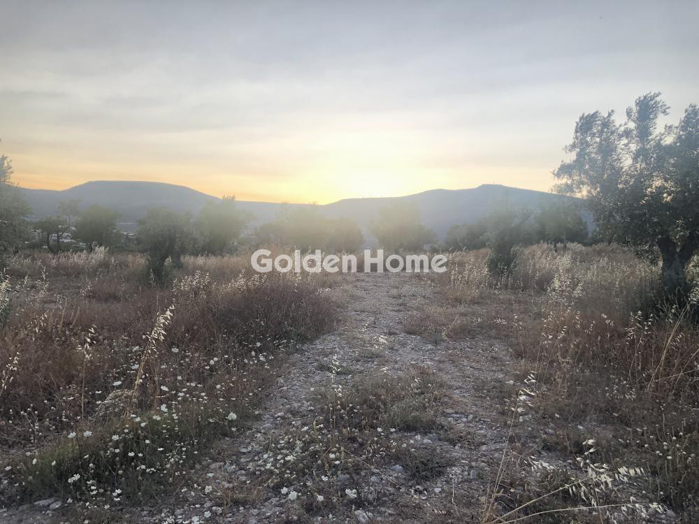 Οικόπεδο 15.000 τ.μ. προς ενοικίαση, Κέντρο Κορωπίου