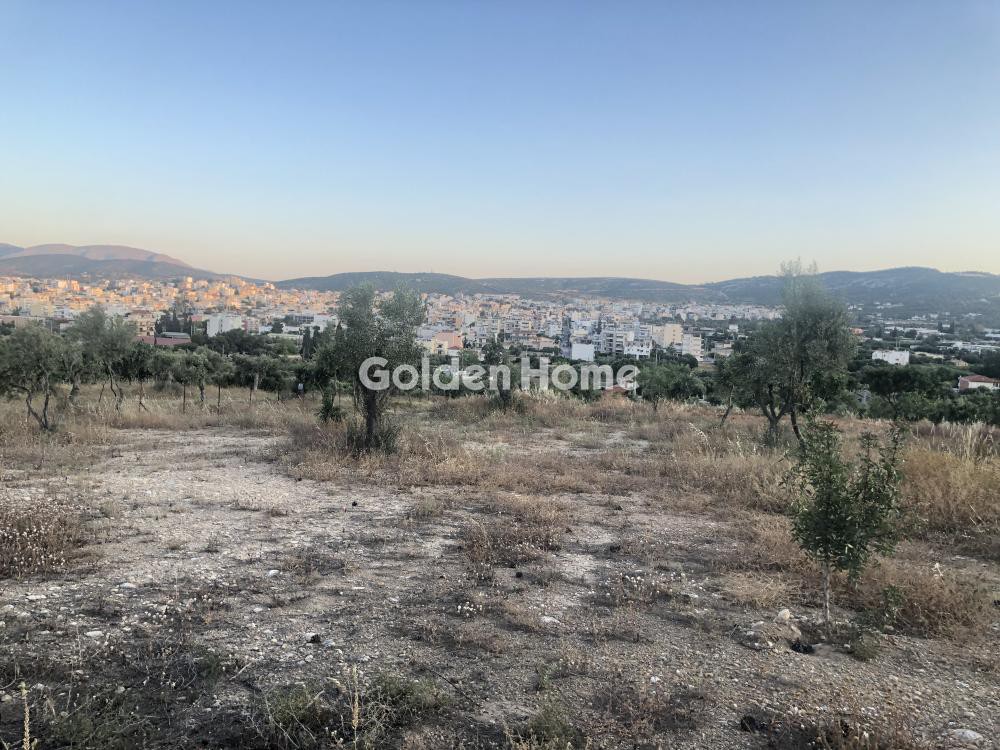 Οικόπεδο 15.000 τ.μ. προς ενοικίαση, Κέντρο Κορωπίου