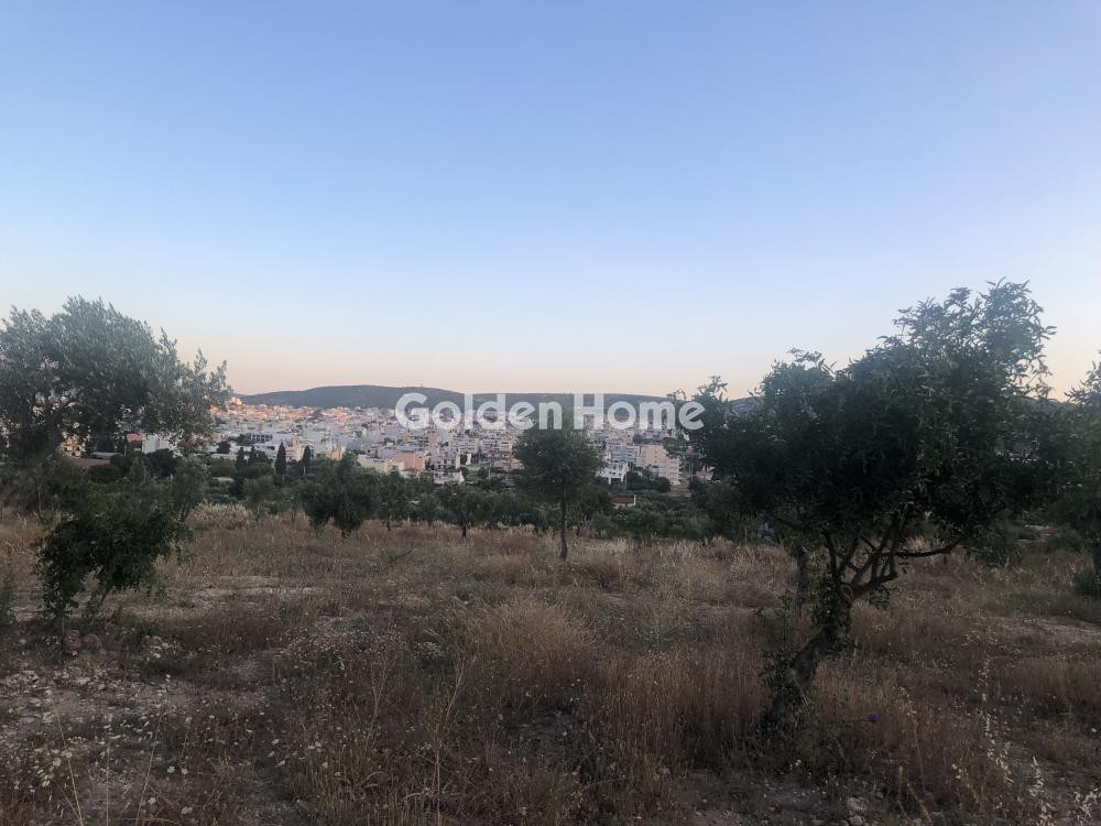 Οικόπεδο 15.000 τ.μ. προς ενοικίαση, Κέντρο Κορωπίου