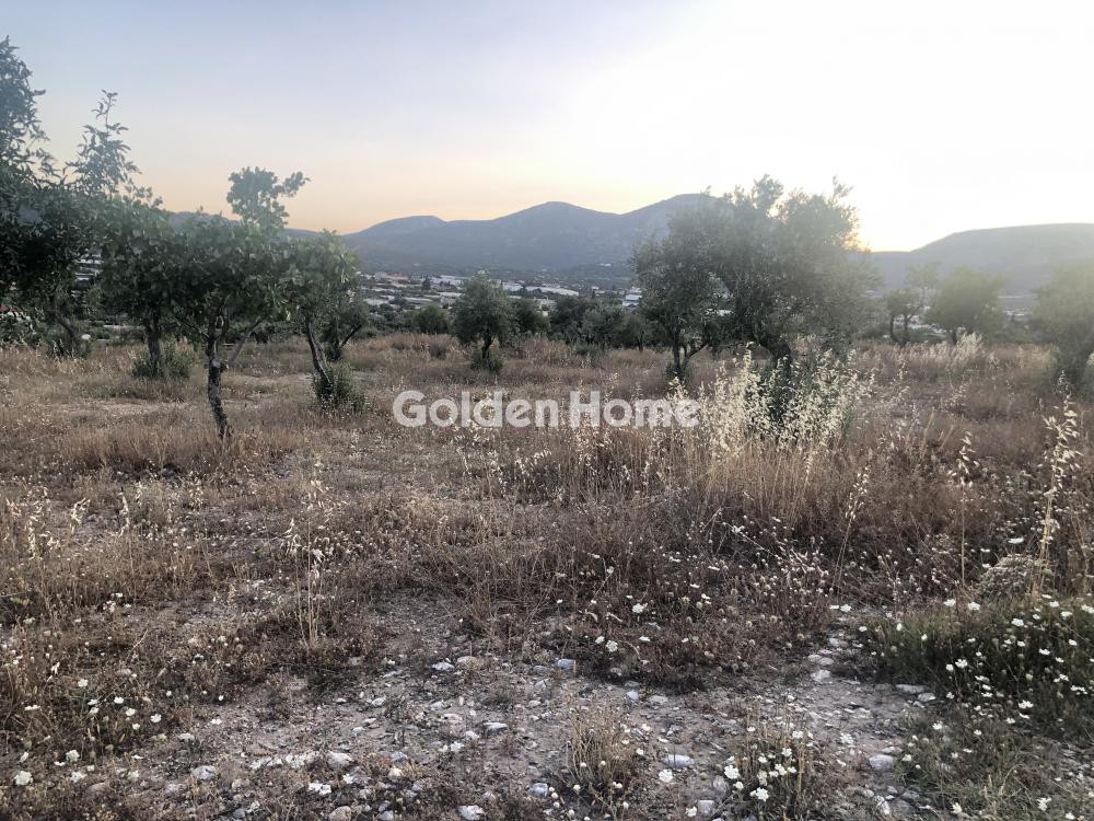 Οικόπεδο 15.000 τ.μ. προς ενοικίαση, Κέντρο Κορωπίου