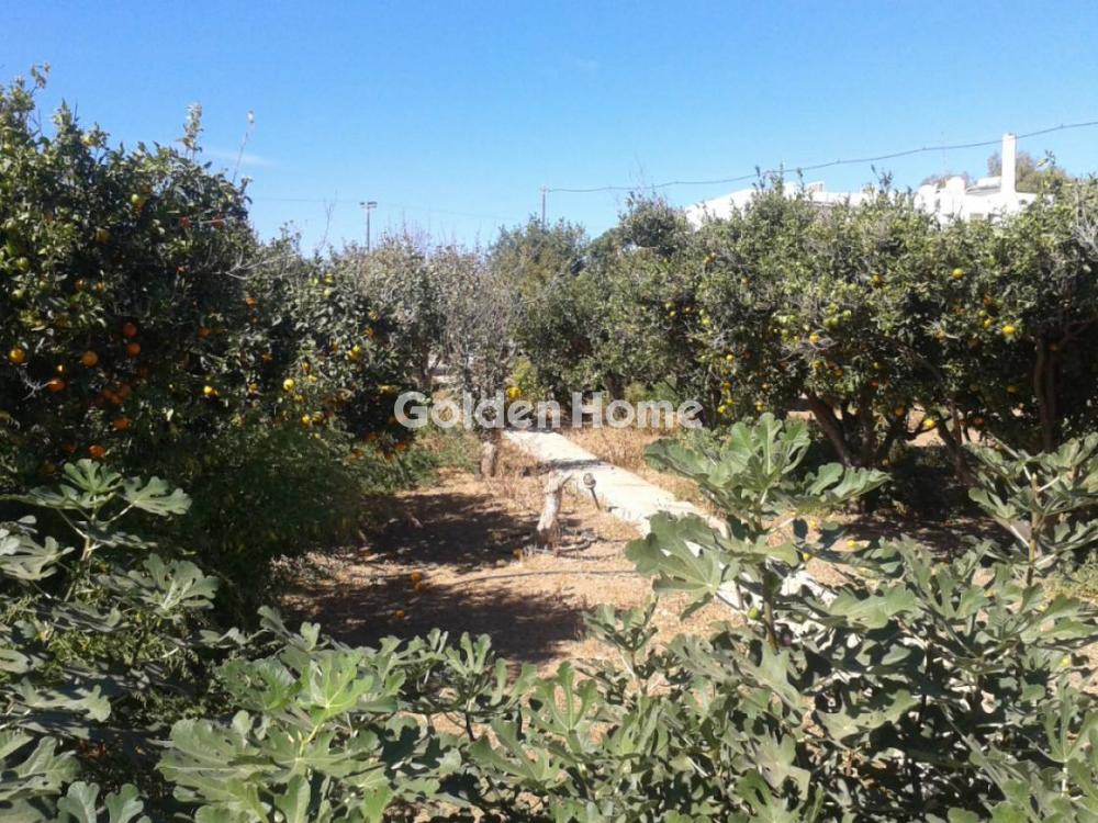 Κτίριο 290 τ.μ. προς πώληση, Αμπελάς