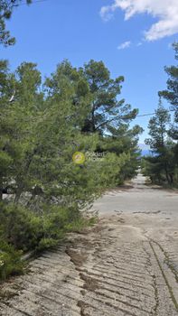 Land plot 1.026sqm for sale-Malesina » Theologos