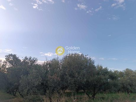 Land plot 712sqm for sale-Thrapsano » Zoforoi
