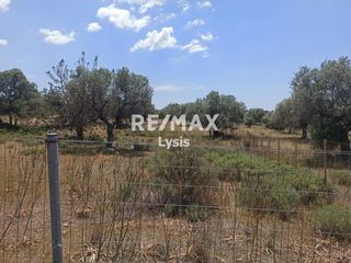 Οικόπεδο 4.172 τ.μ. για πώληση, Αργολίδα, Ερμιόνη-thumb-4