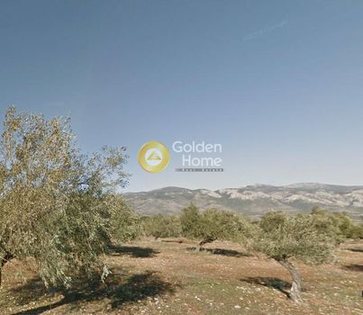 Parcel 4.000sqm for sale-Vilia » Loumpa