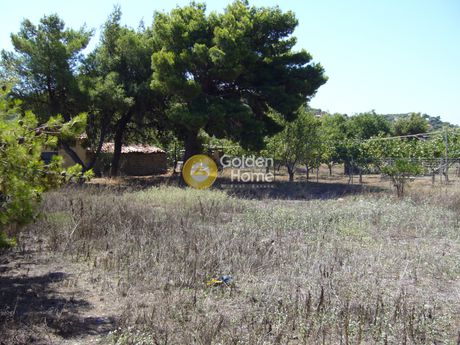 Land plot 667sqm for sale-Koropi » Agios Dimitrios