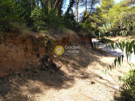 Land plot 1.109sqm for sale-Anoixi » Fasideri