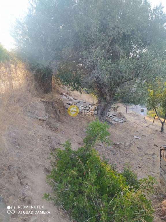 Οικόπεδο 3.000 τ.μ. προς πώληση, Πετριές