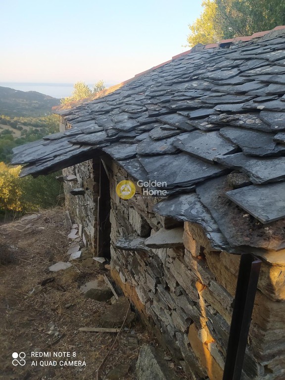 Οικόπεδο 3.000 τ.μ. προς πώληση, Πετριές