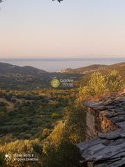 Οικόπεδο 3.000 τ.μ. προς πώληση, Πετριές-thumb-6