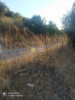 Land plot 3.000sqm for sale-Distos » Petries