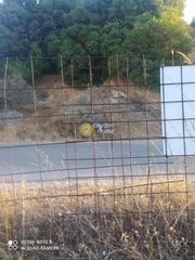 Οικόπεδο 3.000 τ.μ. προς πώληση, Πετριές-thumb-5