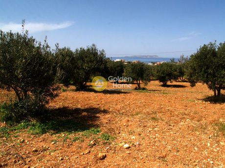 Οικόπεδο 2.200τ.μ. για πώληση-Χερσόνησος » Ανισσαράς