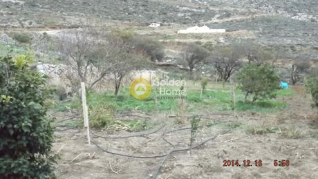 Parcel 7.000sqm for sale-Astypalea » Livadia