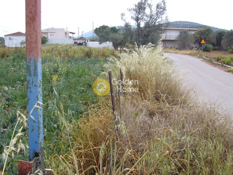 Land plot 2.590sqm for sale-Koropi » Center