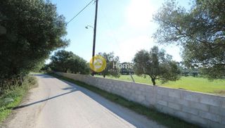 Οικόπεδο 4.003 τ.μ. για πώληση