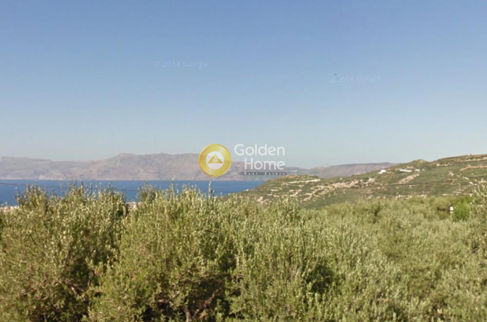 Οικόπεδο 24.958 τ.μ. προς πώληση, Γρηγοριανά Κισσάμου