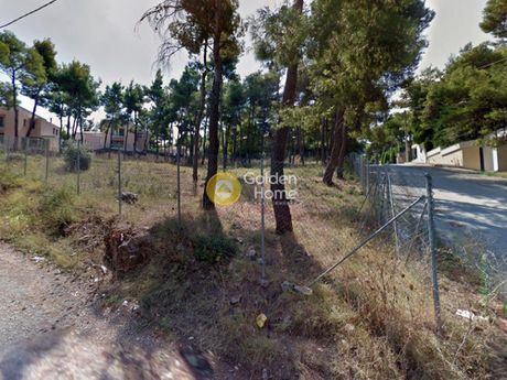Land plot 800sqm for sale-Drosia