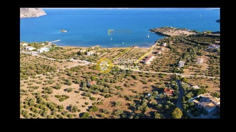 Αγροτεμάχια 2.100 τ.μ. για πώληση, Αργολίδα, Ερμιόνη