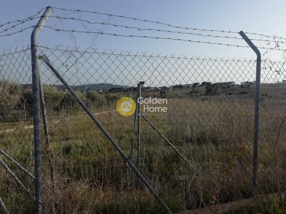 Αγροτεμάχια 3.800 τ.μ. προς πώληση, Νέος Βουτζάς