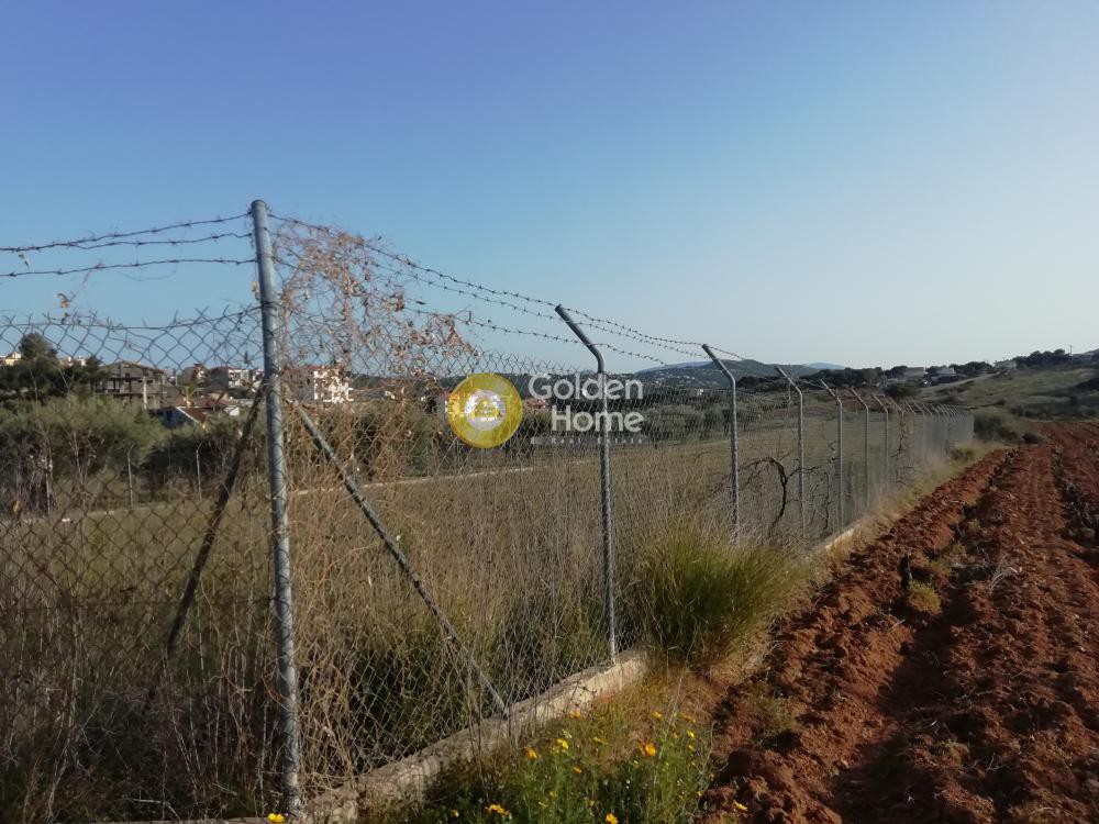 Αγροτεμάχια 3.800 τ.μ. προς πώληση, Νέος Βουτζάς