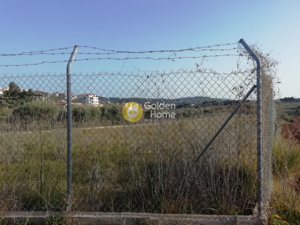 Αγροτεμάχια 3.800 τ.μ. προς πώληση, Νέος Βουτζάς