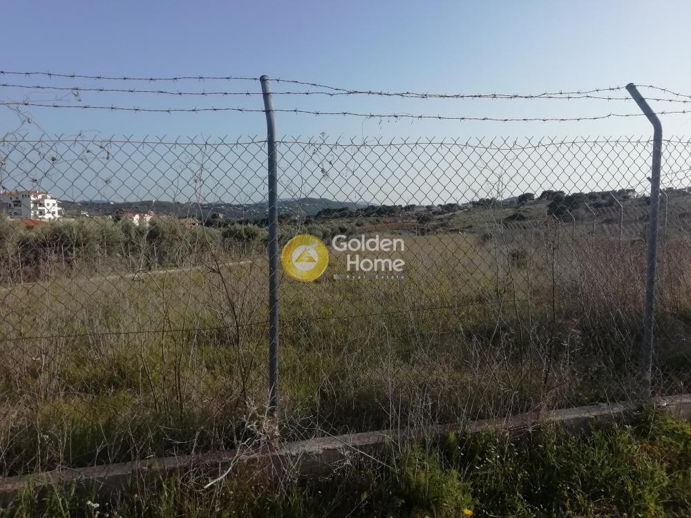Αγροτεμάχια 3.800 τ.μ. προς πώληση, Νέος Βουτζάς