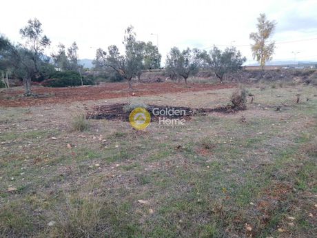 Parcel 14.500sqm for sale-Koropi » Center