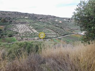 Αγροτεμάχια 2.000 τ.μ. προς πώληση, Πατσίδες-thumb-5