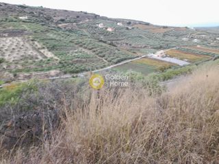 Αγροτεμάχια 2.000 τ.μ. προς πώληση, Πατσίδες-thumb-8
