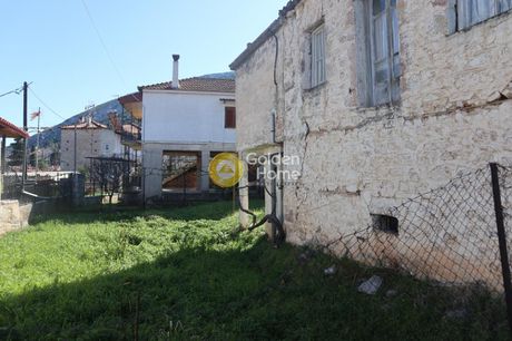 Detached home 56sqm for sale-Amfikleia » Moni Dadiou