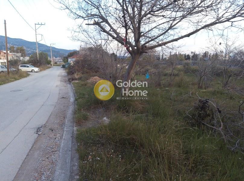 Οικόπεδο 808 τ.μ. πρός πώληση, Μαγνησία, Νέα Ιωνία Βόλου
