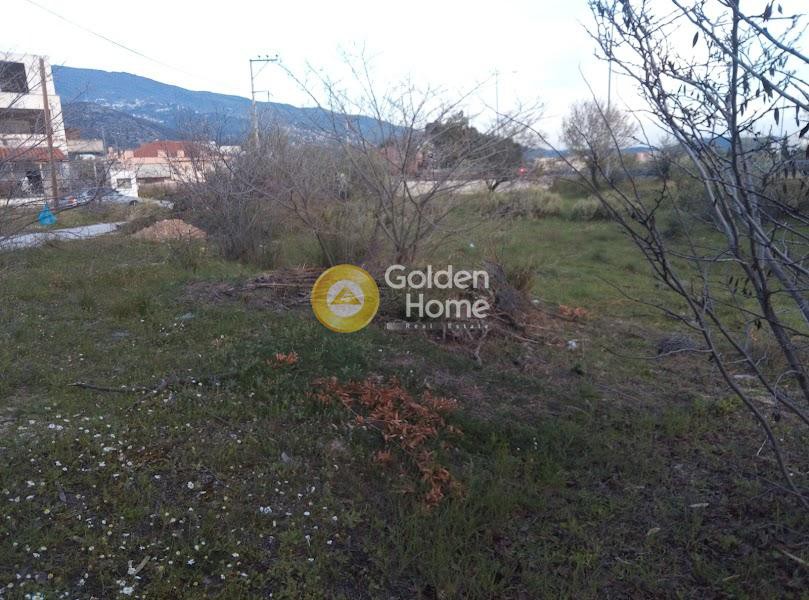 Οικόπεδο 808 τ.μ. πρός πώληση, Μαγνησία, Νέα Ιωνία Βόλου