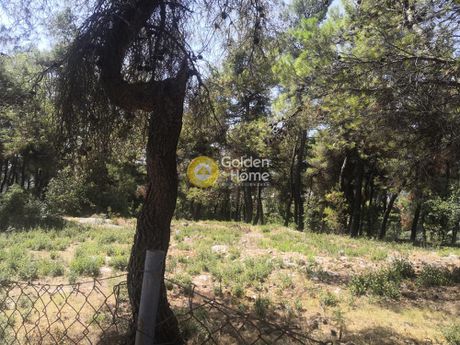 Land plot 2.856sqm for sale-Stamata » Efxinos Pontos