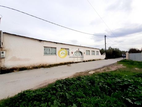 Land plot 660sqm for sale-Aegina » Kipseli