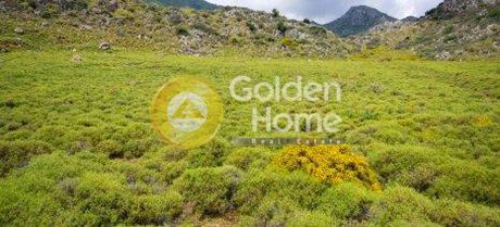 Parcel 5.569sqm for sale-Geropotamos » Argoulio