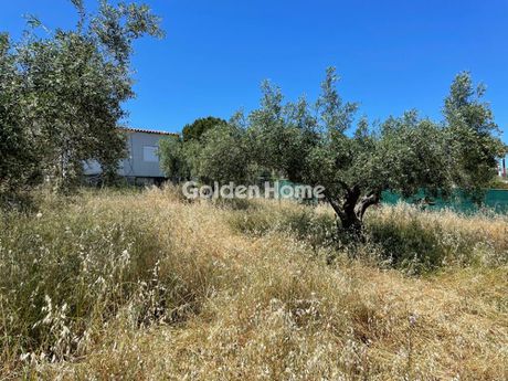 Parcel 315sqm for sale-Com. Skalas Oropou » Chalkoutsi