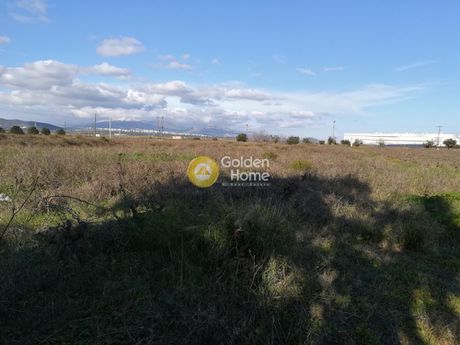 Land plot 9.500sqm for sale-Markopoulo » Center