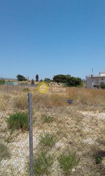Land plot 2.500sqm for sale-Acharnes » Amigdaleza