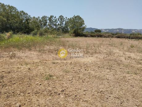 Land plot 4.000sqm for sale-Iardanos » Prasino