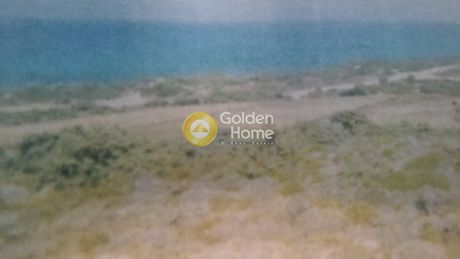Land plot 16.000 sqm for sale