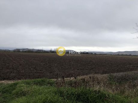 Αγροτεμάχια 6.218 τ.μ. για πώληση