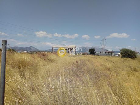 Οικόπεδο 4.800 τ.μ. για πώληση