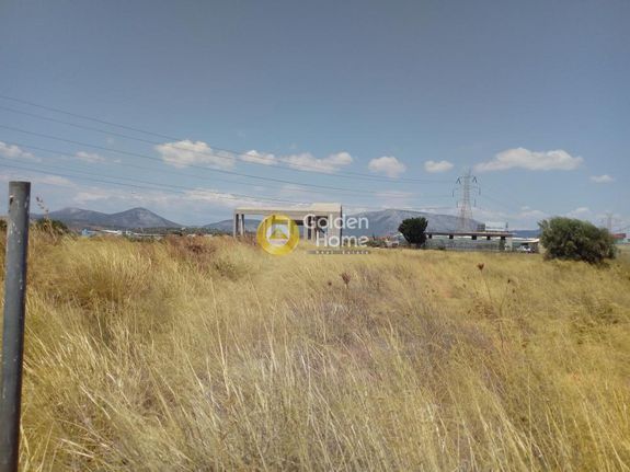 Οικόπεδο 4.800 τ.μ. για πώληση, Αττική - Υπόλοιπο, Μαρκόπουλο