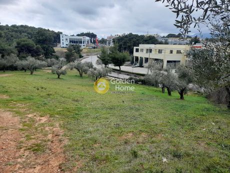 Οικόπεδο 2.300τ.μ. για πώληση-Άγιος στέφανος » Νυμφών