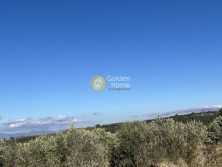 Οικόπεδο 977 τ.μ. για πώληση